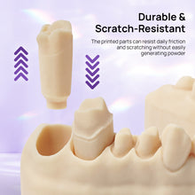 Load image into Gallery viewer, D01S Dental Model Low Shrinkage 3D Printer Resin (1kg)