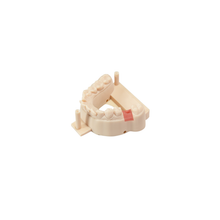 Load image into Gallery viewer, D01S Dental Model Low Shrinkage 3D Printer Resin (1kg)