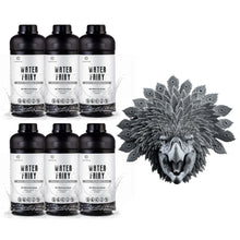 Load image into Gallery viewer, WW123 Water-washable Resin (1kg)