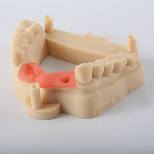 D01S Dental Model Low Shrinkage 3D Printer Resin (1kg)