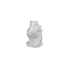 Load image into Gallery viewer, F39T Transparent Flexible Rubber-like 3D Printer Resin (1kg)
