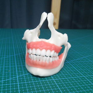 F80 Elastic 3D Printer Resin Black / Gingival-like