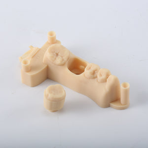 D01S Dental Model Low Shrinkage 3D Printer Resin (1kg)
