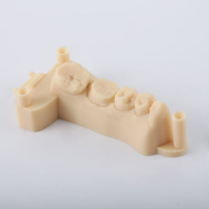 D01S Dental Model Low Shrinkage 3D Printer Resin (1kg)